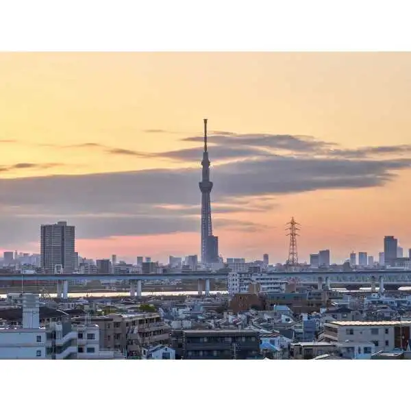 ローヤルシティ新小岩 その他画像