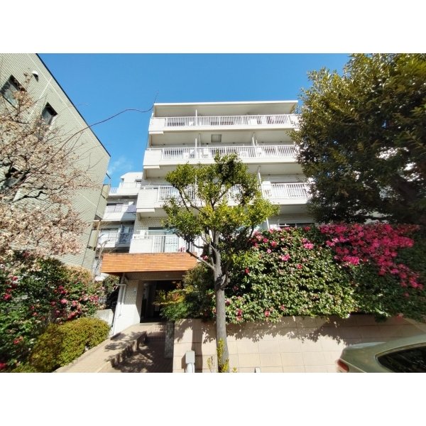 タウンハイツ尾山台 外観