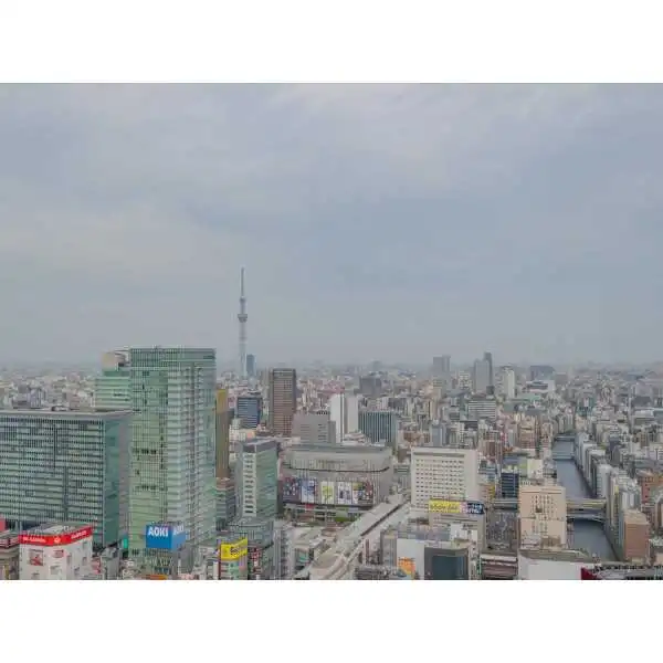 ワテラス　タワーレジデンス その他画像