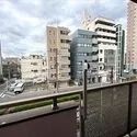 ワコー大塚マンション バルコニーからの眺望