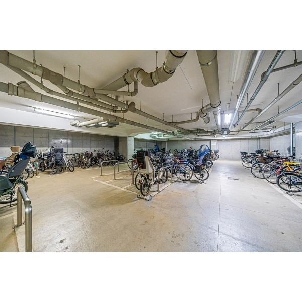 ザ・ライオンズ杉並　善福寺川緑地 その他画像