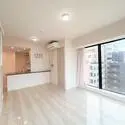 ザ・ファインタワー大手前 その他画像