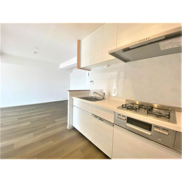 メロディーハイム大日 その他画像