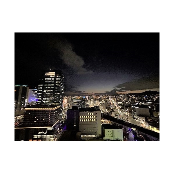 ザ・パークハウス神戸タワー その他画像