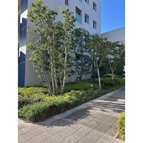 ローレルコート桃山台　ＴＨＥ　ＨＯＵＳＥ その他画像