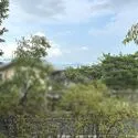 京都市右京区鳴滝音戸山町 その他画像