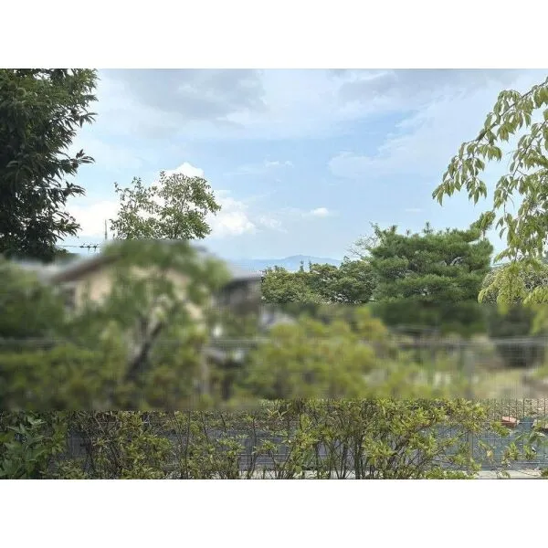 京都市右京区鳴滝音戸山町 その他画像