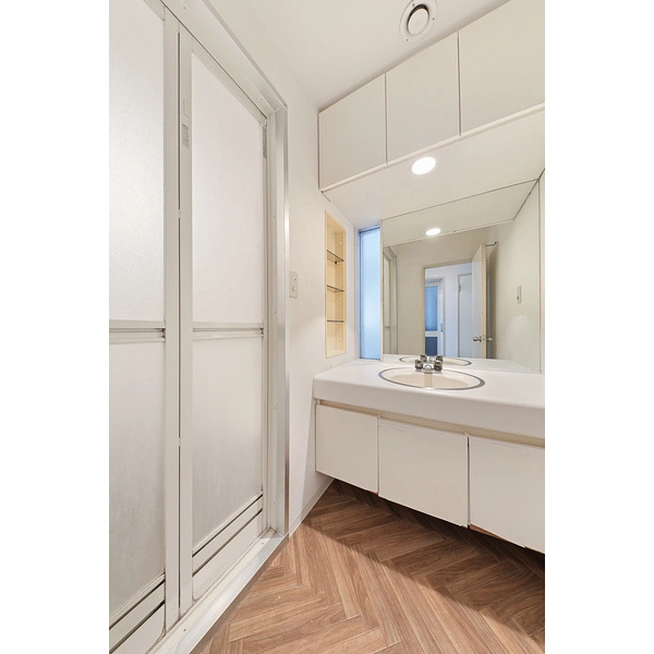 グリーンパーク新綾瀬 洗面室