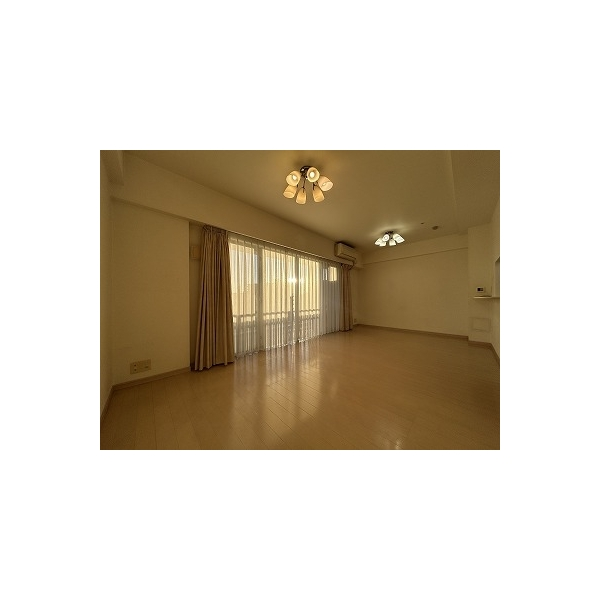 ダイナシティ東京リバーゲートリベラタワー その他画像