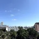 ザ・パークハウス文京護国寺 バルコニーからの眺望です。