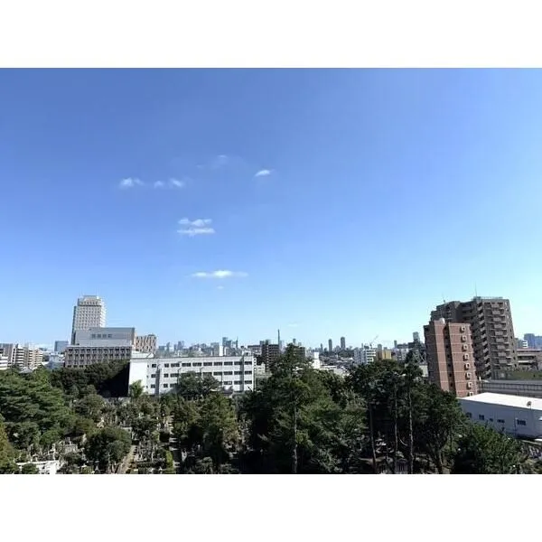 ザ・パークハウス文京護国寺 バルコニーからの眺望です。