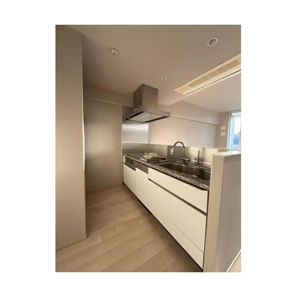 ローレルアイ恵比寿ピアース その他画像