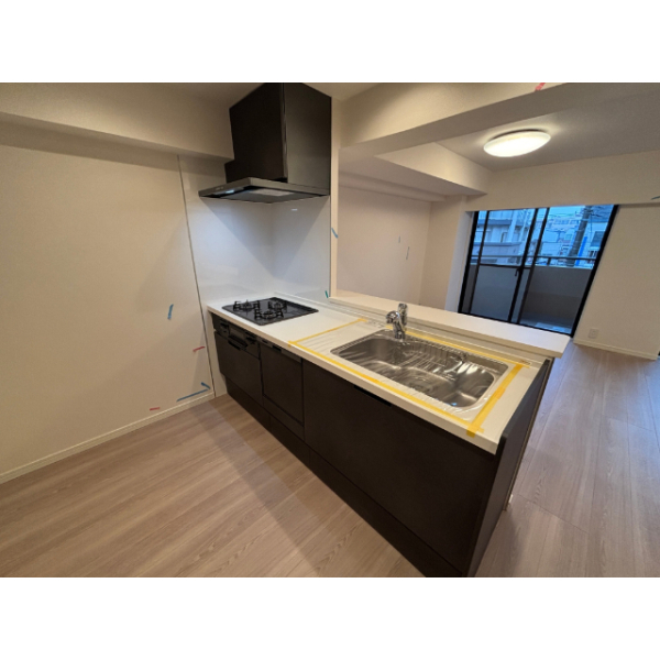 ライオンズステーションプラザ梅島 その他画像