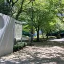 パークタワー晴海 中央区立晴海第一公園（公園）まで約450m（徒歩6分）