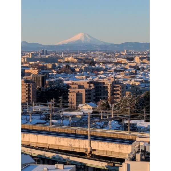 ブランズ大宮宮原サンマークス その他画像