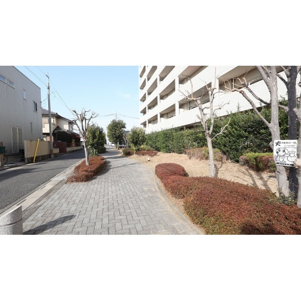 ブランズ大宮宮原サンマークス その他画像