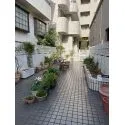世田谷区池尻４丁目 前面道路