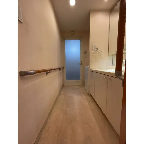 モンセーヌ高槻セレシア 洗面室