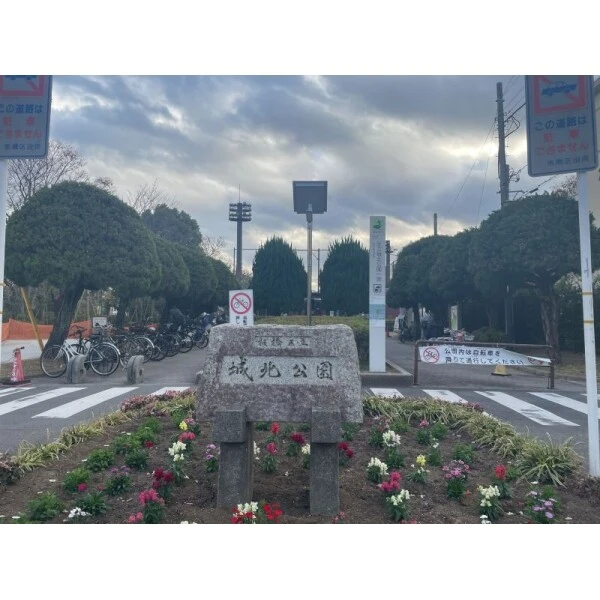 セジョリ板橋坂下 城北公園（公園）まで約430m（徒歩6分）