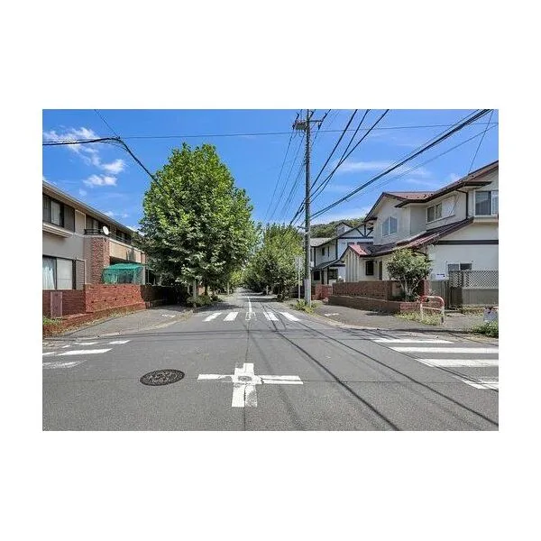 柏市大室 北側約11.9m公道(歩道含む)
