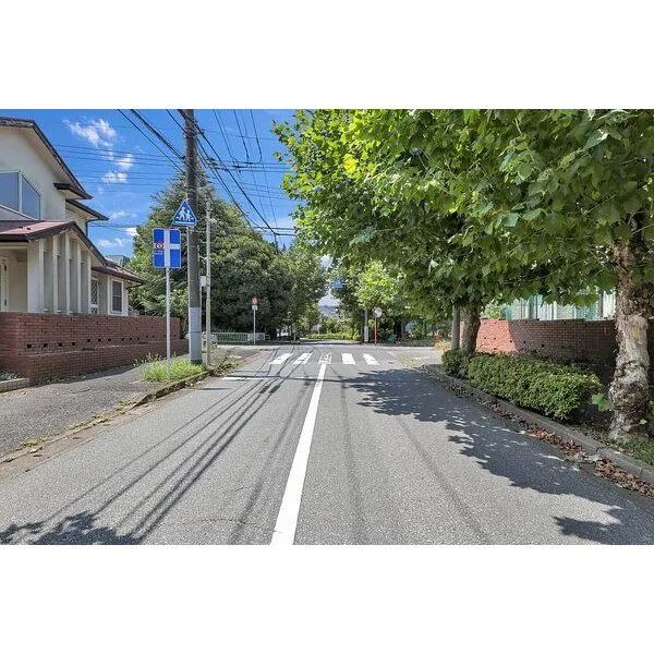 柏市大室 北側約11.9m公道(歩道含む)