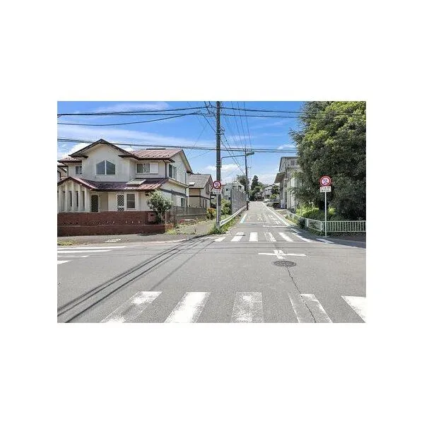 柏市大室 西側歩道約3mと道路