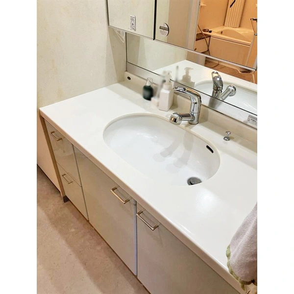 ロイヤルシャトー習志野台 その他画像