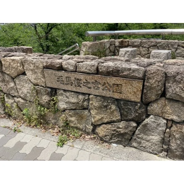 サンフォーリーフタウン桜ノ宮 サンミットコート 毛馬桜ノ宮公園(公園)まで約290m(徒歩4分)