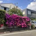 町田市南成瀬１丁目 現地（古家あり）(撮影年月：2026年04月)