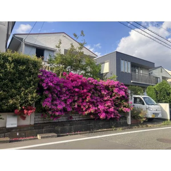 町田市南成瀬１丁目 現地（古家あり）(撮影年月：2026年04月)