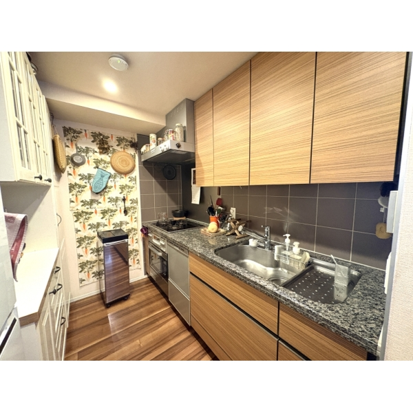 パークハウス市谷柳町 家具、調度品は価格に含まれません