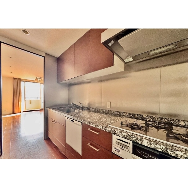 プレティナレジデンス橦木町 その他画像