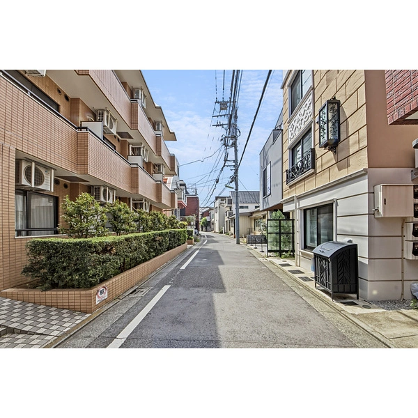 世田谷区大原２丁目 前面道路