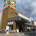 堺市東区日置荘西町１丁 ライフ初芝店（スーパー）まで約610m（徒歩8分）