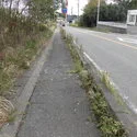 瀬戸市品野町１丁目 前面道路