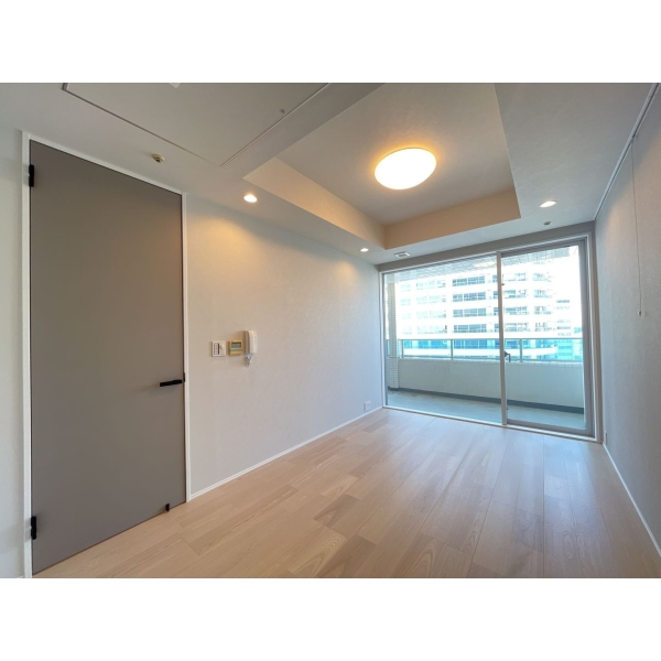 M.M.タワーズ theSouth棟 洋室