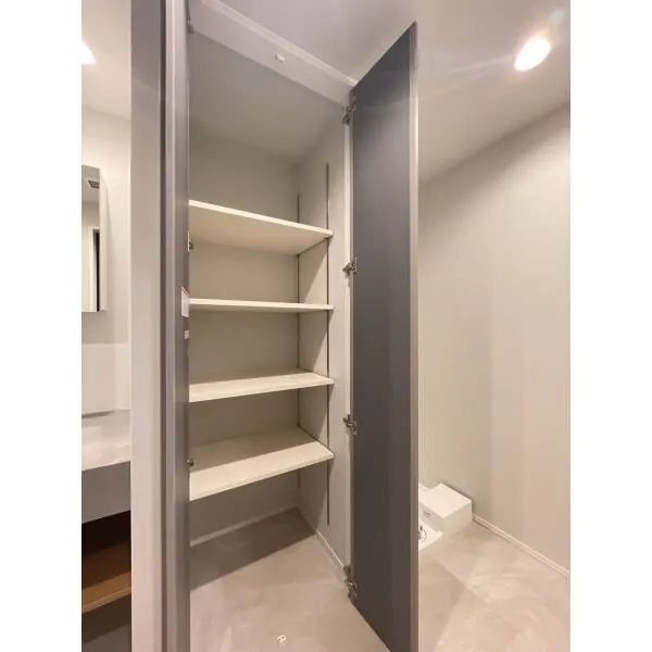 M.M.タワーズ theSouth棟 洗面室