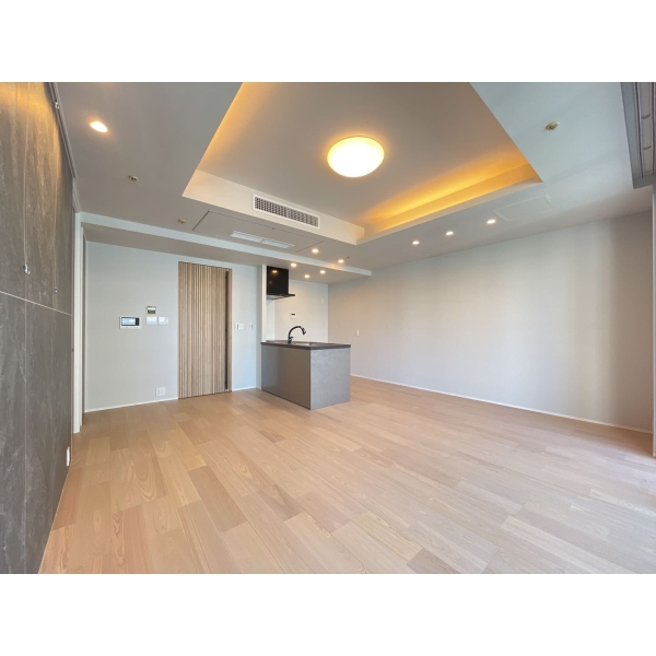 M.M.タワーズ theSouth棟 LDK