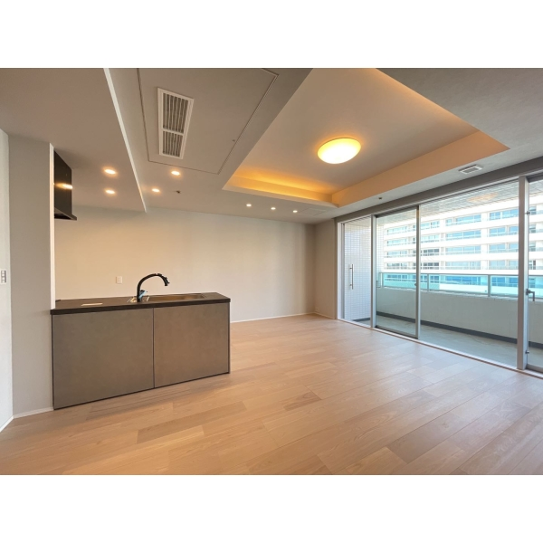 M.M.タワーズ theSouth棟 LDK