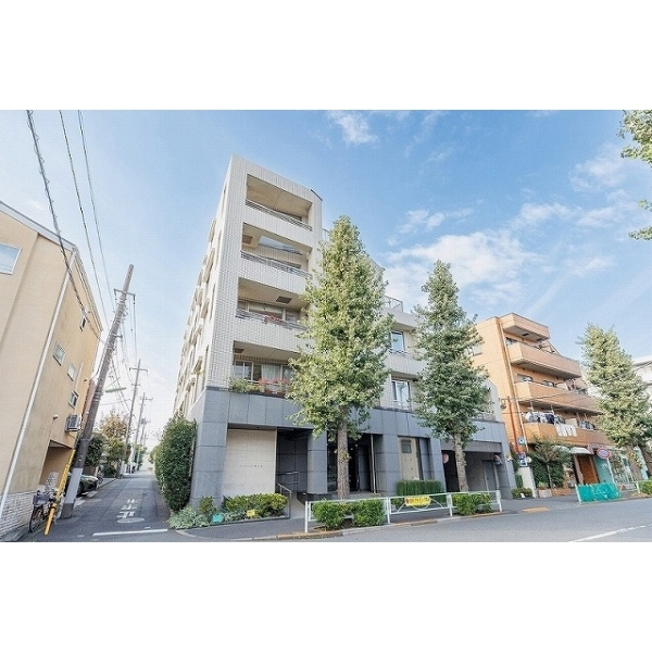 アーバンパレス等々力 その他画像