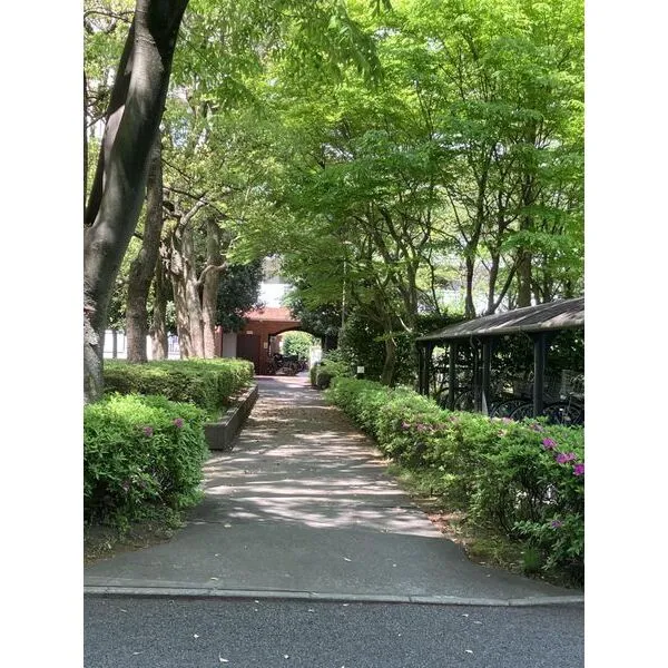 昭島つつじが丘ハイツ北住宅団地　２０号棟 その他画像