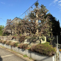 藤沢市葛原 その他画像
