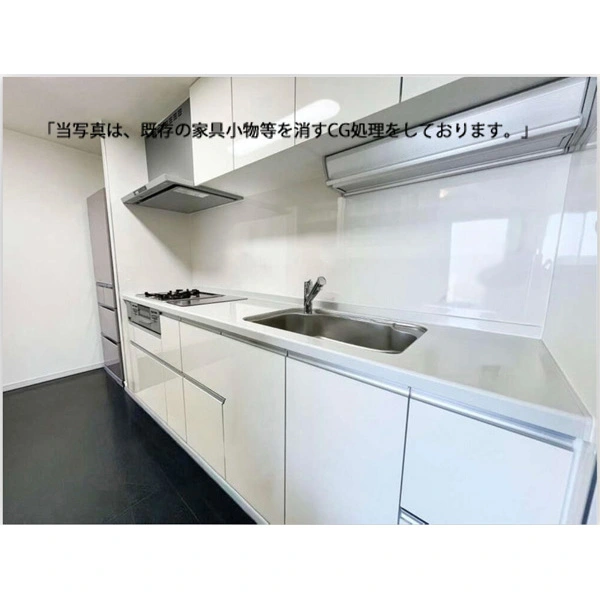 ザ・リバープレイスサウスタワー その他画像