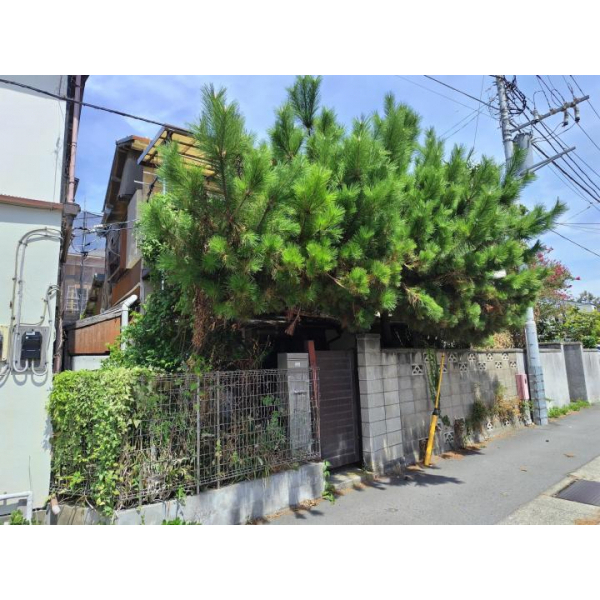 鎌倉市長谷１丁目 その他画像
