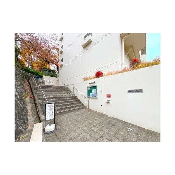 ドルフ青葉台 その他画像