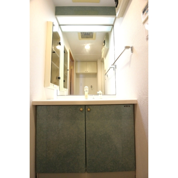 ライオンズプラザ亀有 その他画像