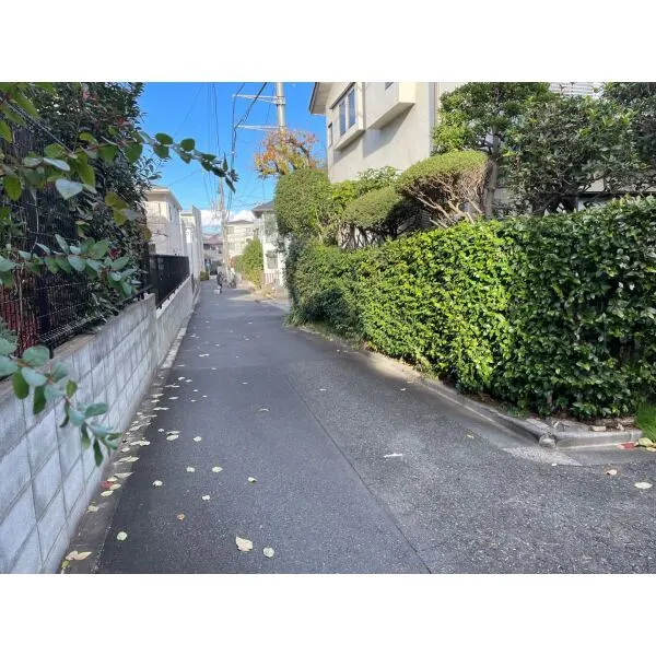 杉並区宮前２丁目 北西側前面道路
