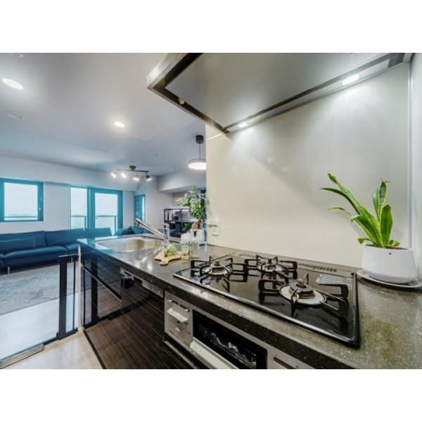 オープンレジデンシア小岩ステーションフロント その他画像