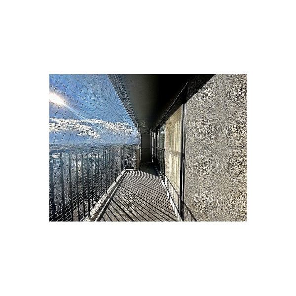 緑地グランドマンション その他画像