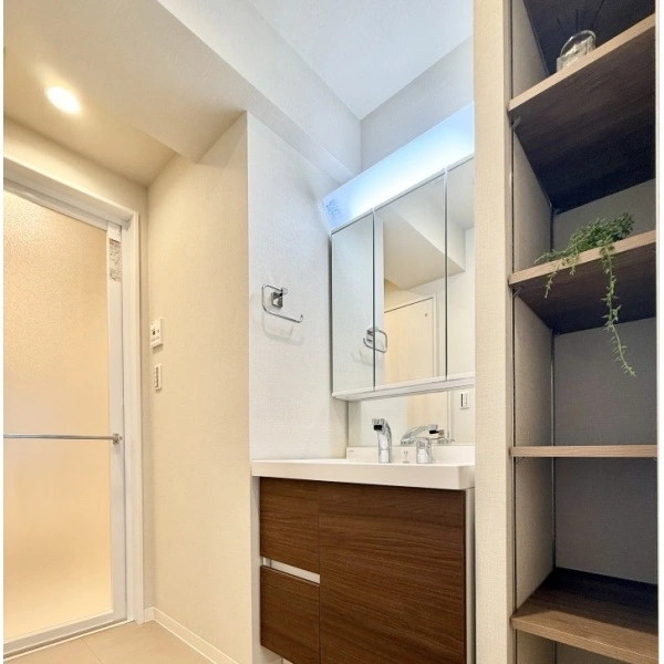 阿佐ヶ谷陵雲閣マンション 洗面室